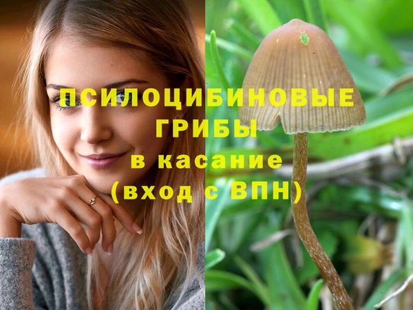 дурь Арсеньев