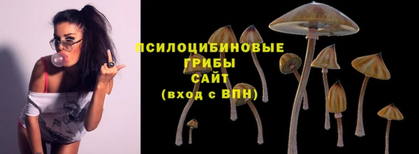 стафф Армянск